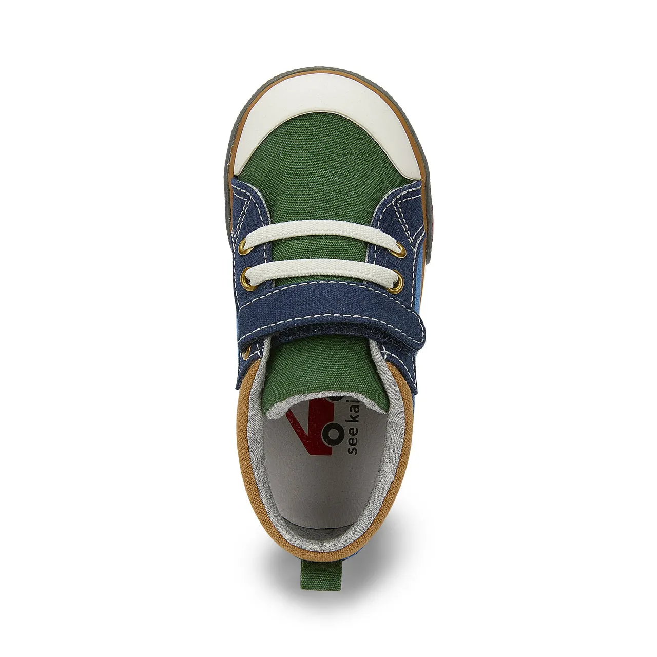 Dane Hi-Top Canvas Sneaker - Green/Blue